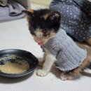 아세아상사