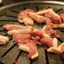 낙동생오리 이미지