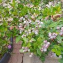 홍성한우 홍동점 이미지