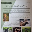 y동물병원 이미지