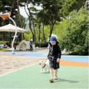 씨엠 | 마이타민 리퀴드씨엠 복용법 가격 후기