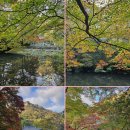 장성시내길 이미지