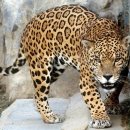 완결까지 다 보게했던 마성의 y소설 완전 많이 추천함 ^ㅠ^ 이미지