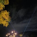 남반고택 | [2025 월영야행] 안동 월영교의 밤, 빛과 사람으로 물들다