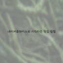 덕스토리 이미지