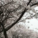 덕풍천동로 이미지