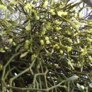 경희하나로한방병원 이미지