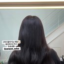 윤윤살롱