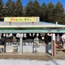 청결목장 | 7개월 아기랑 가기 좋은 곳, 강릉 대관령 양떼목장! 입장료부터 준비물, 장단점 총정리