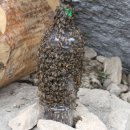 소로1리 이미지