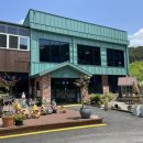 내촌애견 이미지