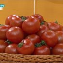 다올필라테스 네이버블로그