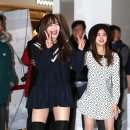 하니몰 이미지