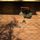 궁말11 (apmadang) 이미지