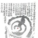 금환낙지
