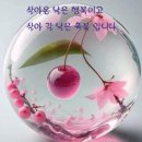 복수박 많이도 달렸네^^ 이미지