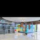 피터펫카페 이미지