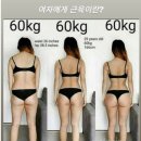 필로스짐 이미지