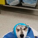 (주)위덤 이미지