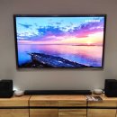 Beauty in Dog's 이미지