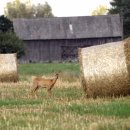 박준호농장 이미지