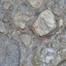 관산보건진료소 이미지