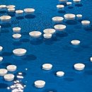 공존과이음 이미지