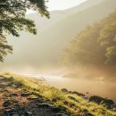 울주 대곡리 반구대 암각화 | 울주 대곡리 반구대 암각화 선사 시대 바위 그림 속 숨겨진 비밀