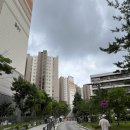 신남초정문 이미지