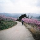 260424 묵상글 ( 부활 제3주간 금요일. - - 사울을 따라 회개의 여정을 . 등 ) 이미지