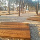 중앙솔밭캠핑장 이미지