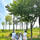 지에스25강남헤븐리치 | 경기도골프장 더헤븐cc 올여름 골캉스 여기! 더헤븐 골프리조트