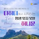 타히티 카카오 검색결과