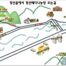 베다니농장 이미지