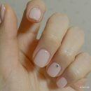 스튜디고