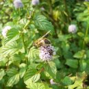 진심을 담다 이미지