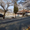 감자바우민박 이미지