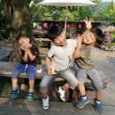 화수목 농원 이미지