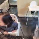 아현 | [대구] 북구 한우로 유명한 고성동맛집! <최가네아현식육식당> 방문 후기