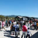 곡성-229 이미지