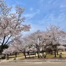 구드래 주차장 화장실 이미지