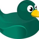 닭오리의 꿈 이미지