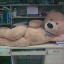 에이티디 이미지