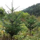 주천농장 이미지