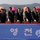 새(고경) 이미지