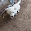 친환경로 이미지