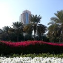 생각의집 이미지