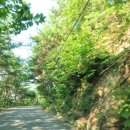 부석초등학교남대분교장 이미지