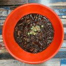 해안짜장면 | 군산 비응도동 맛집 &#39;교동 짬뽕&#39; 불향 가득 로제해물차돌짬뽕 짜장면 찹쌀탕수육 먹고 온 후기