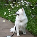 양정염포도서관 이미지